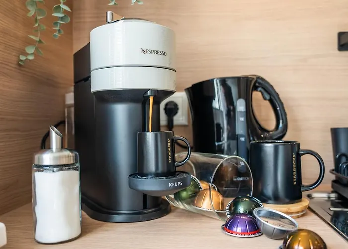 A Hidden Gem In The Heart Of Appartement Coblence